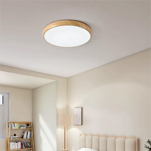 LED Ceiling Lights