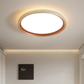 Minimalist Round Brown LED Bedroom Ceiling Lamp