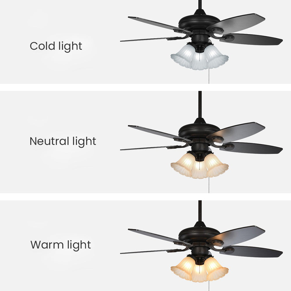 Contemporary Coffee Glass Ceiling Fans With Lights