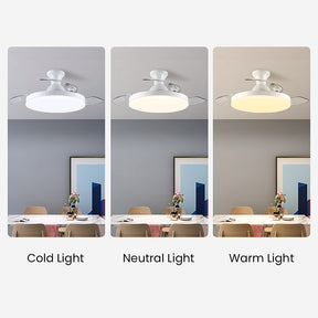 Simple Low Profile Ceiling Fan With LED Light