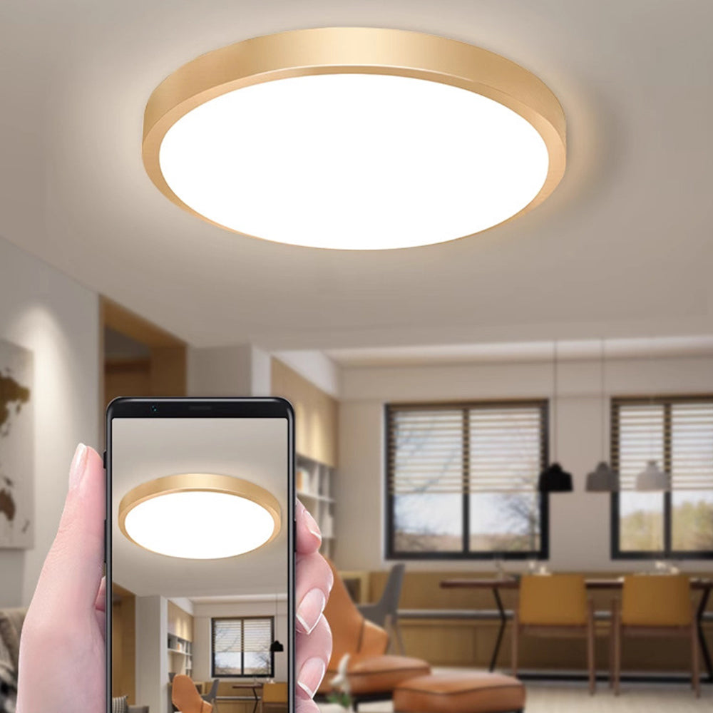 Gold Vintage Round Flush Mount Ceiling Light