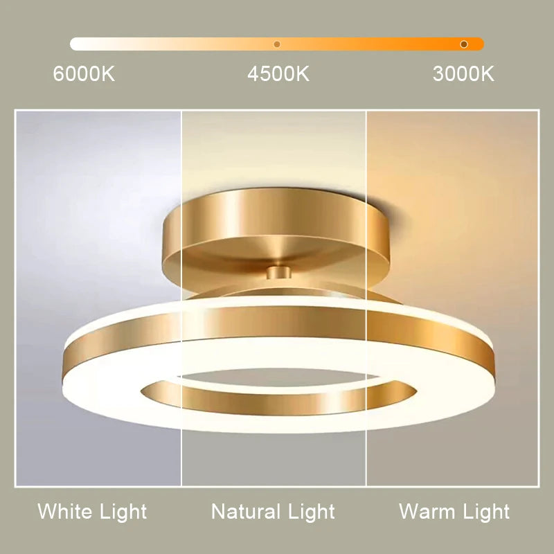 Geometry Ring LED Luxury Ceiling Light