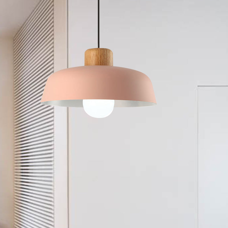 Nordic Small Stained Aluminium Pendant Lamp