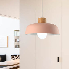 Nordic Small Stained Aluminium Pendant Lamp