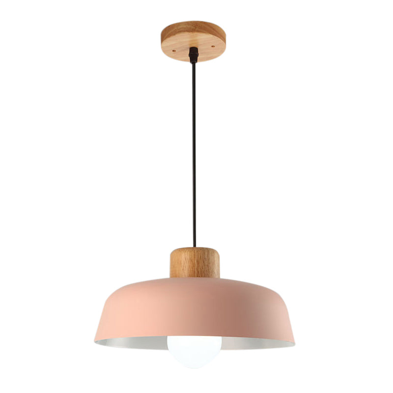 Nordic Small Stained Aluminium Pendant Lamp