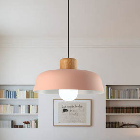 Nordic Small Stained Aluminium Pendant Lamp