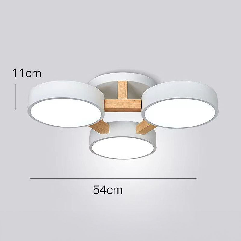 Contemporary Acrylic Multi-Heads Ceiling Light