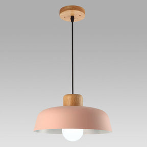 Nordic Small Stained Aluminium Pendant Lamp