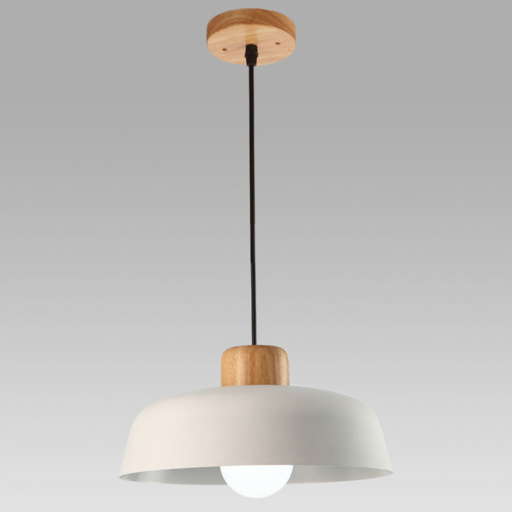 Nordic Small Stained Aluminium Pendant Lamp