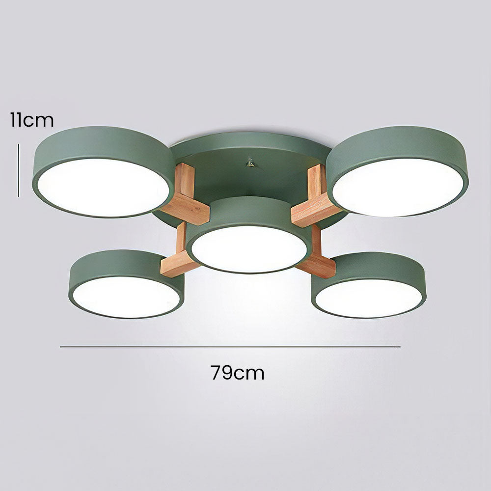 Contemporary Acrylic Multi-Heads Ceiling Light