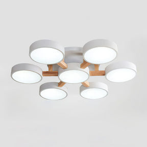 Contemporary Acrylic Multi-Heads Ceiling Light