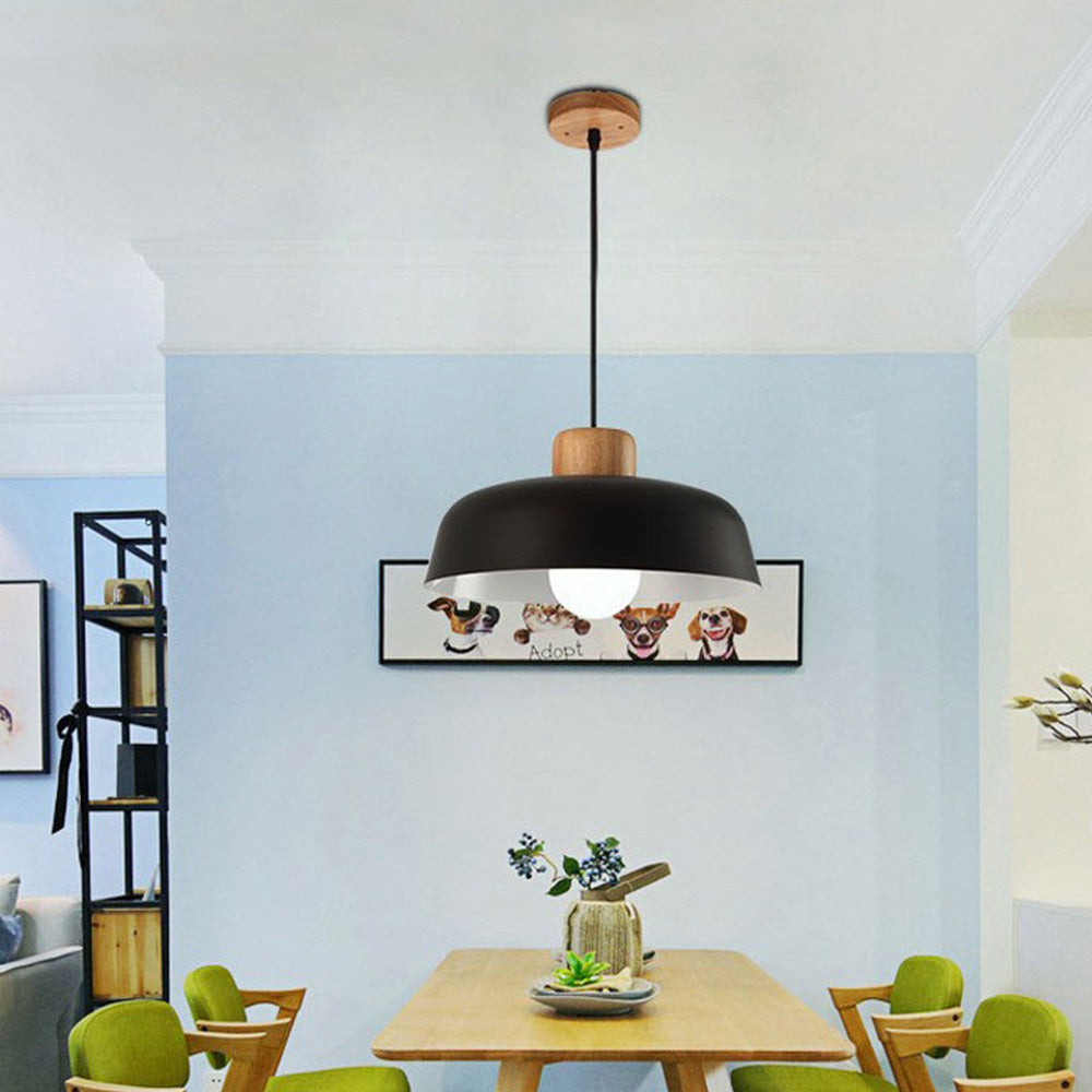 Nordic Small Stained Aluminium Pendant Lamp