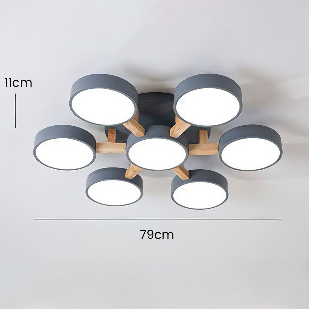 Contemporary Acrylic Multi-Heads Ceiling Light