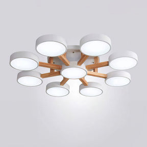 Contemporary Acrylic Multi-Heads Ceiling Light