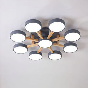 Contemporary Acrylic Multi-Heads Ceiling Light