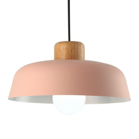 Nordic Small Stained Aluminium Pendant Lamp