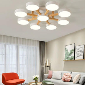 Contemporary Acrylic Multi-Heads Ceiling Light