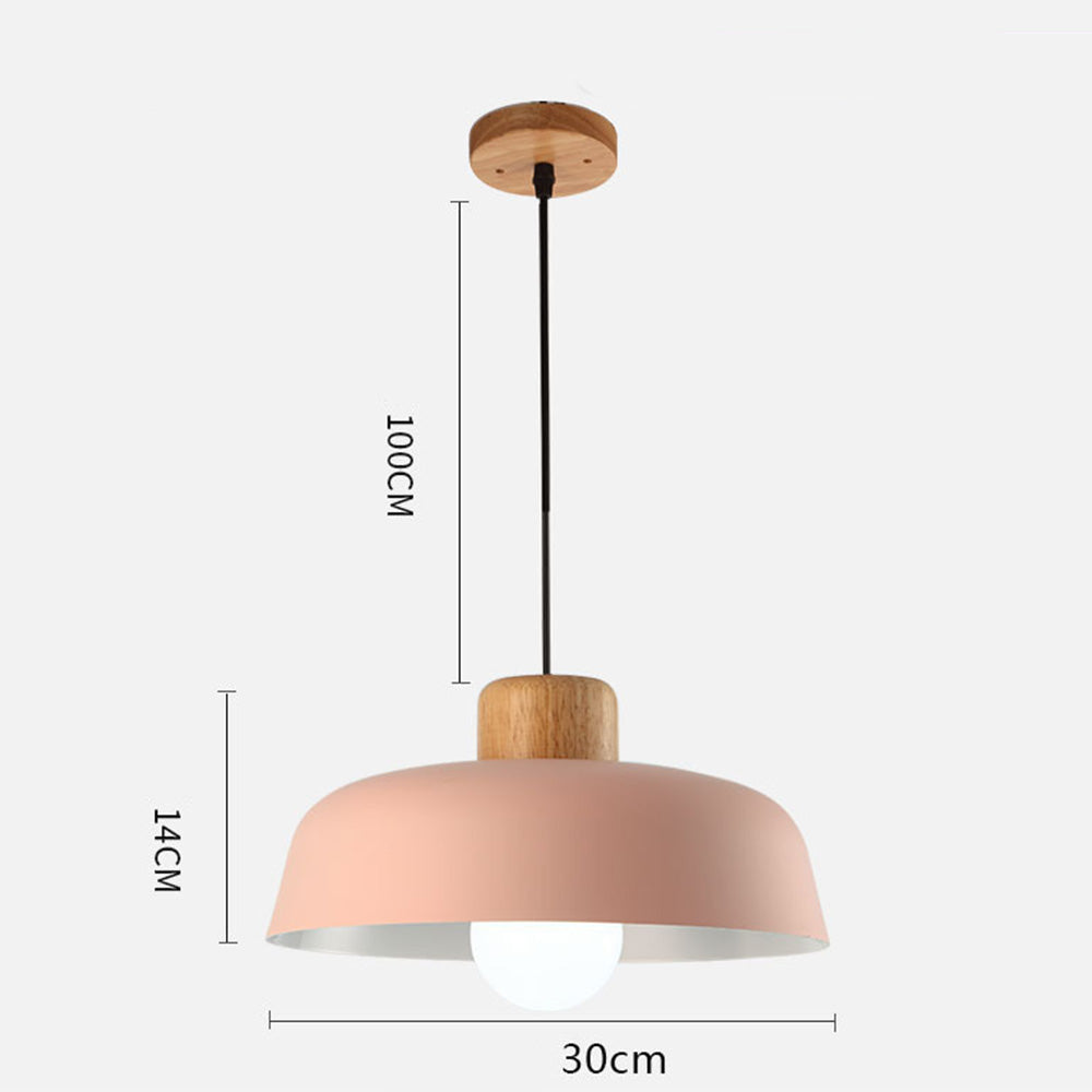 Nordic Small Stained Aluminium Pendant Lamp