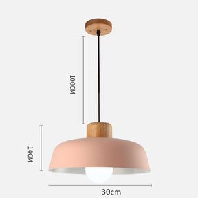 Nordic Small Stained Aluminium Pendant Lamp