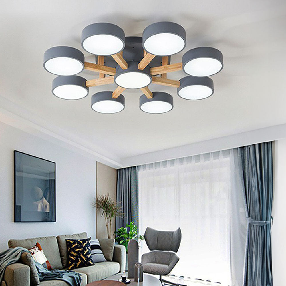 Contemporary Acrylic Multi-Heads Ceiling Light