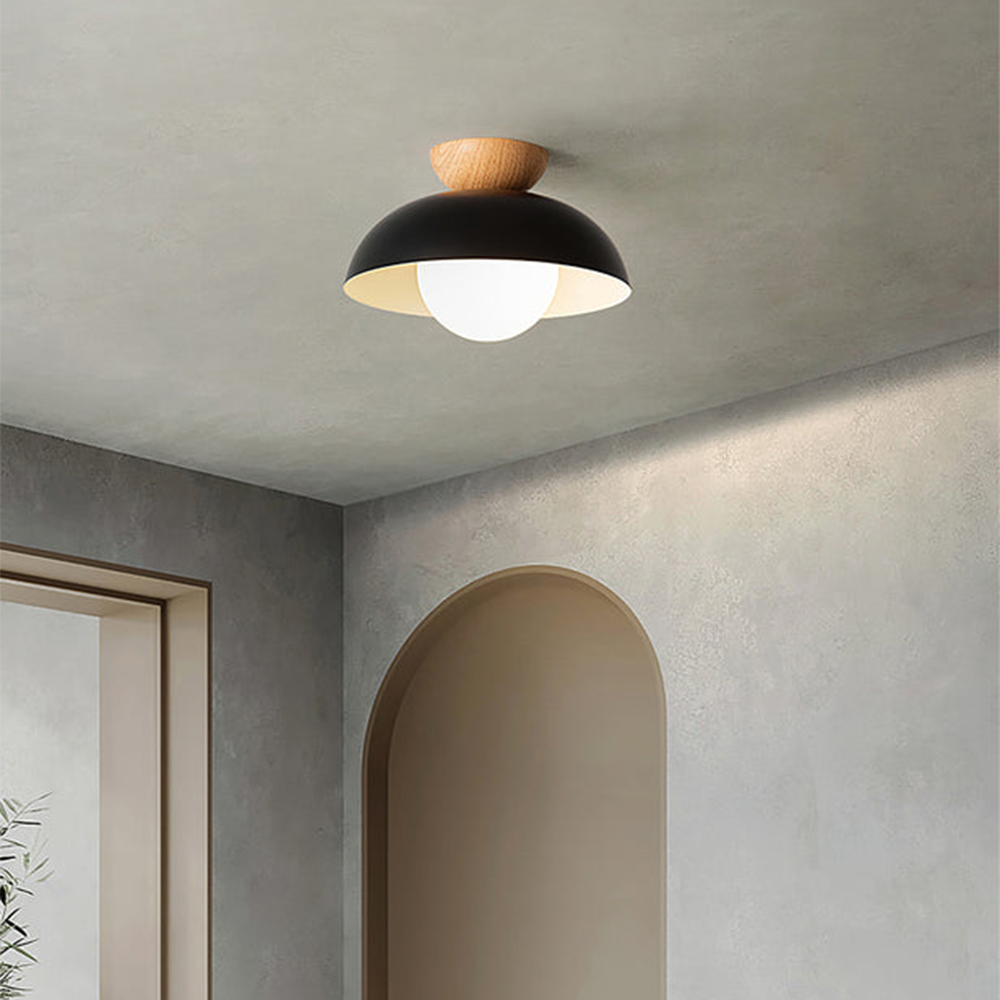 Modern Minimalist Eco-friendly Ceiling Light -Homdiy