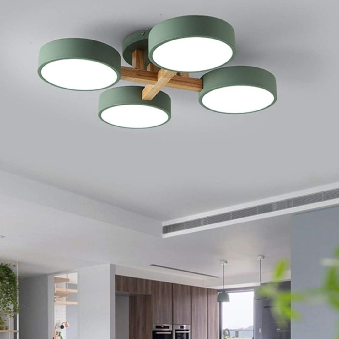 Contemporary Acrylic Multi-Heads Ceiling Light