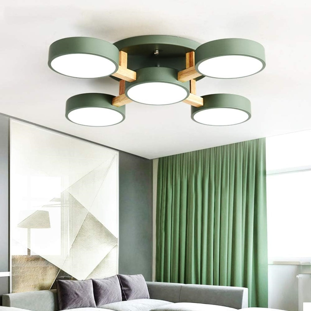 Contemporary Acrylic Multi-Heads Ceiling Light