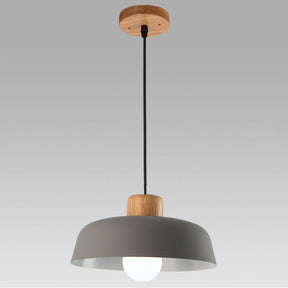 Nordic Small Stained Aluminium Pendant Lamp