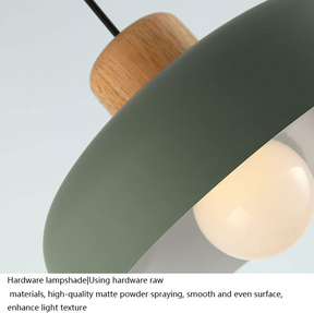 Nordic Small Stained Aluminium Pendant Lamp