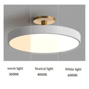 Simple Semi-Flush Mount Acrylic LED Ceiling Light