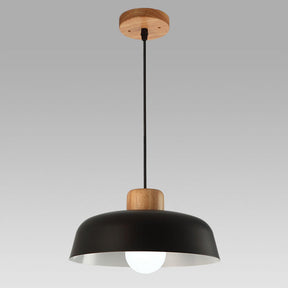 Nordic Small Stained Aluminium Pendant Lamp