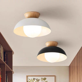 Modern Minimalist Eco-friendly Ceiling Light