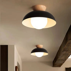 Modern Creative Iron Ceiling Pendant Light