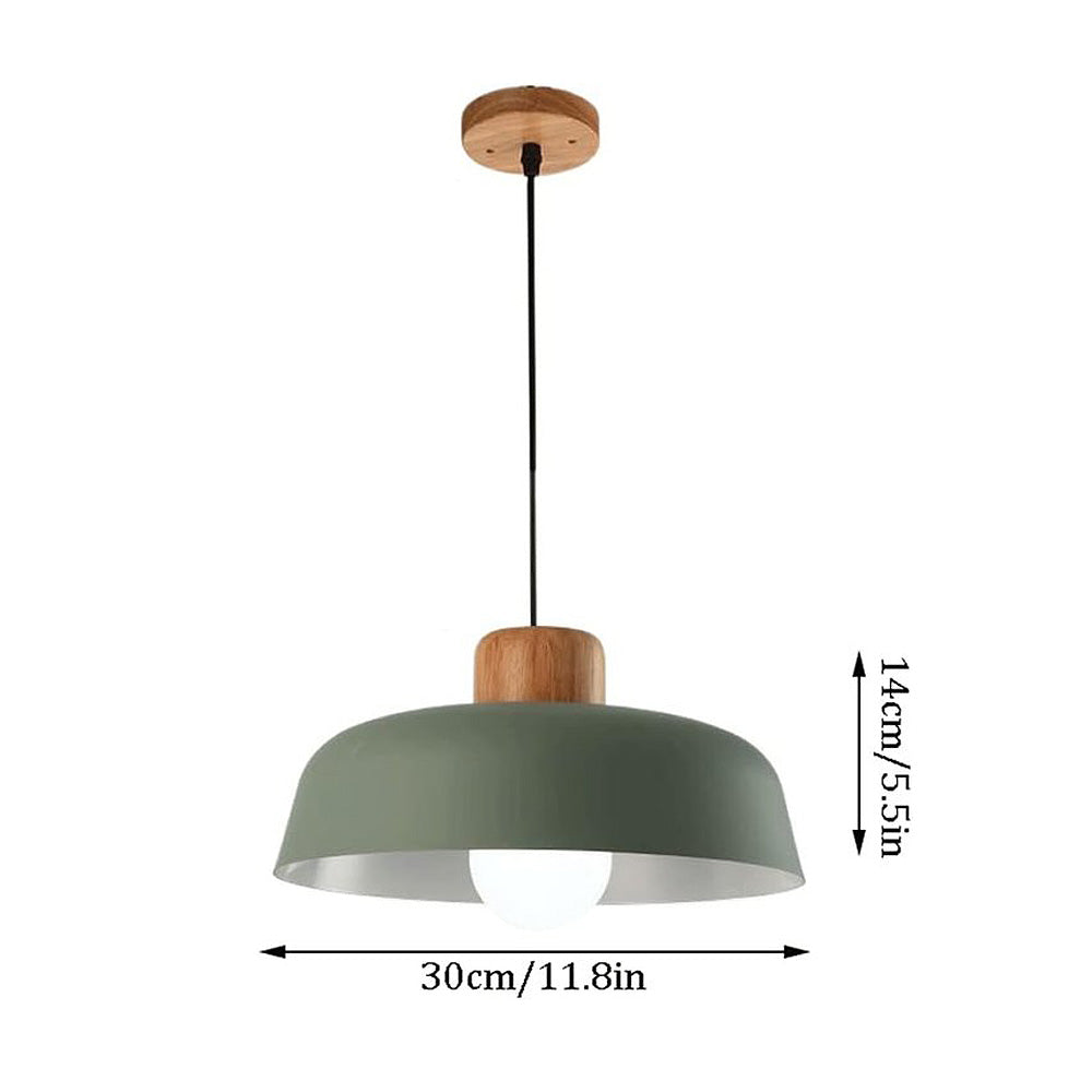 Nordic Small Stained Aluminium Pendant Lamp