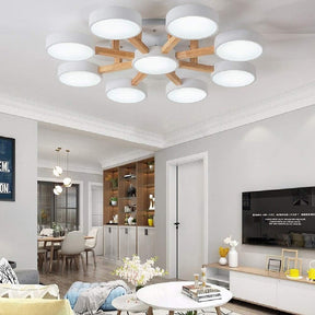 Contemporary Acrylic Multi-Heads Ceiling Light