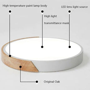 Minimalist Round LED Dimmable Ceiling Light -Homdiy